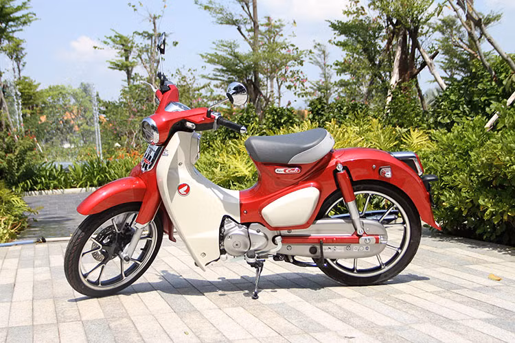 Giá xe Honda Cub C125 tại Việt Nam được bán chính hãng lên tới 84,99 triệu đồng, mức giá mà một số người cho rằng xứng đáng với "huyền thoại" Honda Super Cub mới. Được biết, vào thời điểm mới ra mắt tại Thái Lan vào tháng 7/2018 những chiếc xe máy mới này về Việt Nam còn được các đại lý "thét giá" lên đến từ 130 - 150 triệu đồng.