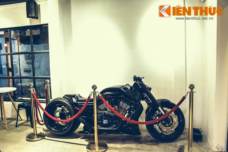 Chiếc V-Rod Muscle nổi tiếng của hãng xe Harley, Mỹ được độ lại gần như hoàn toàn với ngoại hình bắt mắt và mạnh mẽ hơn. Chiếc xe mang phong cách chiến binh đường phố này được chủ nhân độ lên cặp lốp 360 cực khủng, đây cũng được xem là mẫu xế độ độc đáo tại việt Nam.