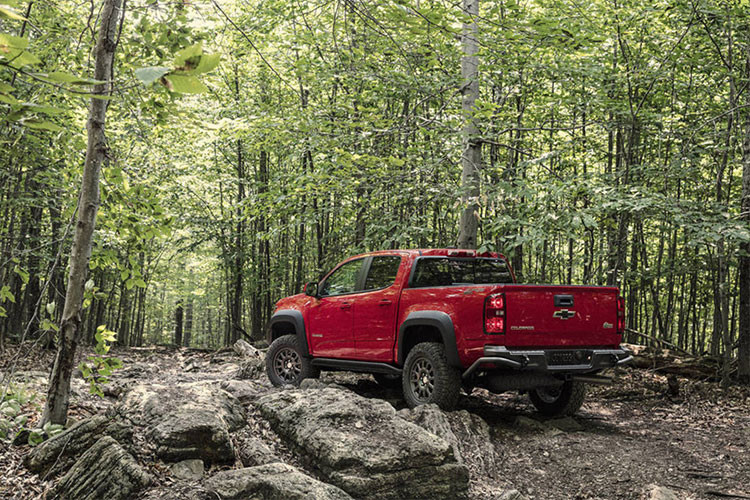 Chevrolet Colorado ZR2 Bison sẽ được mở bán vào tháng 1/2019. Giá bán vẫn chưa được phía GM công bố mặc dù Colorado ZR2 bản thường có giá khởi điểm từ 43.000 USD (tương đương hơn 1 tỷ đồng). Đối thủ cạnh tranh trực tiếp với Colorado ZR2 Bison là Ford Ranger Raptor. 