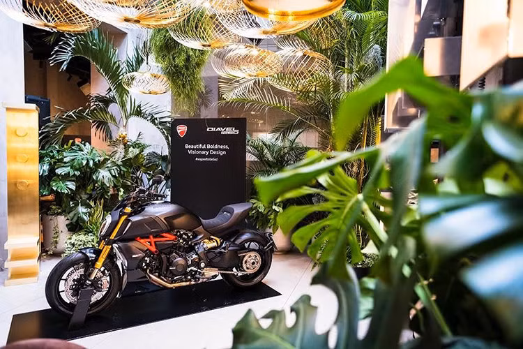 Ducati sẽ không đưa Diavel 1260S Materico sản xuất thương mại. Sắp tới, hãng sẽ trưng bày nó tại Moard - triển lãm thiết kế môtô đầu tiên của Thế giới, được tổ chức tại Palazzo del Ghiaccio, Ý từ ngày 3-5/5/2019.