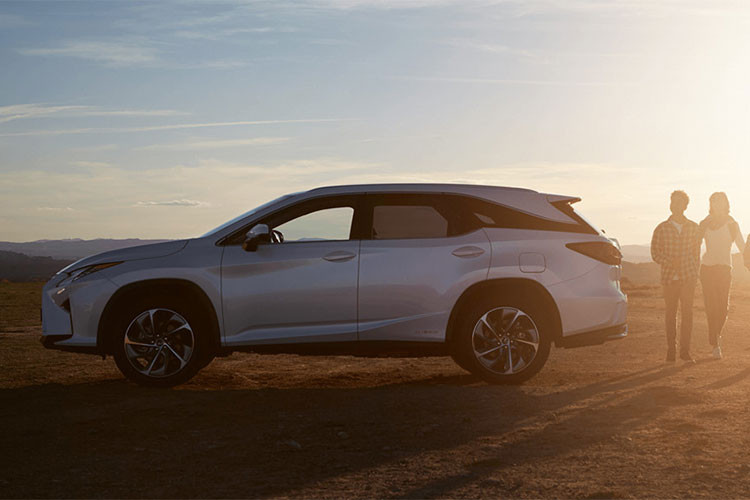 Lexus RX450hL SE được trang bị bộ vành 18 inch, hệ thống đèn pha thông minh công nghệ LED, hệ thống khóa Keyless entry, ghế bọc da chỉnh điện có chức năng sưởi ấm và điều hòa không khí tự động 3 vùng. Về an toàn, xe được trang bị hệ thống phát hiện va chạm, phát hiện người đi bộ, hỗ trợ giữ làn đường và kiểm soát hành trình bằng radar.