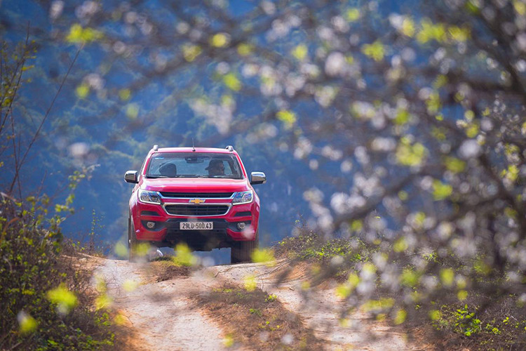 Chiếc xe cũng như con người, cần được chăm chút và bảo dưỡng kỹ lướng trước và sau khi diễn ra hành trình. Những tư vấn này chỉ là cơ bản giúp cho chũng ta có một hành trình du xuân yên tâm và an toàn hơn. Tuy nhiên, xe tốt các bạn cũng hãy nhớ đảm bảo cầm lái đúng luật lệ giao thông và đặc biết không nên "quá chén" trong dịp Tết Kỷ Hợi 2019.