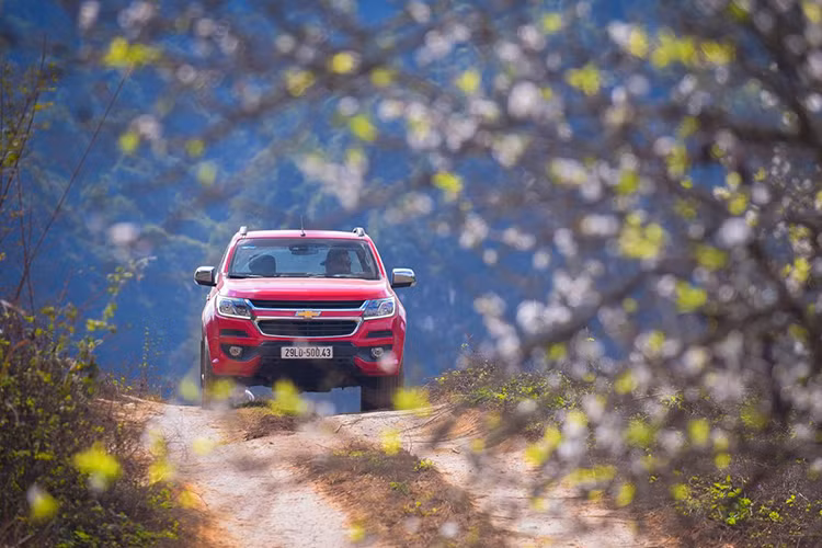 Chiếc xe cũng như con người, cần được chăm chút và bảo dưỡng kỹ lướng trước và sau khi diễn ra hành trình. Những tư vấn này chỉ là cơ bản giúp cho chũng ta có một hành trình du xuân yên tâm và an toàn hơn. Tuy nhiên, xe tốt các bạn cũng hãy nhớ đảm bảo cầm lái đúng luật lệ giao thông và đặc biết không nên "quá chén" trong dịp Tết Kỷ Hợi 2019.