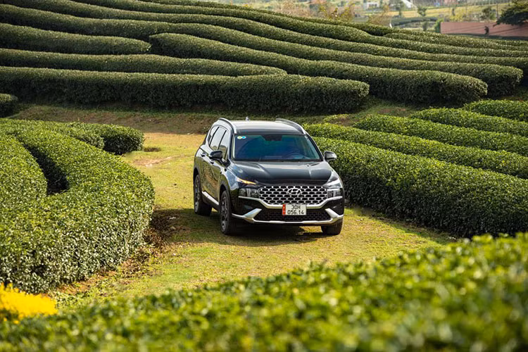 Hyundai SantaFe, Creta va Tucson tang gia toi 35 trieu tai Viet Nam