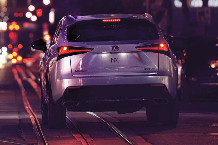 Tại thị trường Malaysia, NX mới có 7 lựa chọn sơn ngoại thất là: Blazing Carnelian, Amber CS, Sonic Titanium, Sonic Quartz, Graphite Black GF, Red MC CS và Sparkling Meteor ME. Riêng bản F-Sport sẽ có thêm hai màu sơn độc quyền là Heat Blue CL và Lava Orange CS.