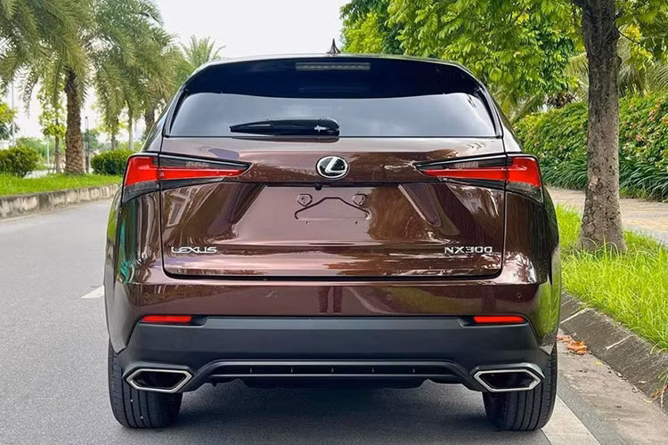 Lexus NX300 sở hữu động cơ Turbo tăng áp cuộn đôi 2.0L với công nghệ phun xăng trực tiếp 4 kỳ cho động cơ tăng áp D-4ST và công nghệ ESTEC, đáp ứng tiêu chuẩn khí thải Euro 6 và sản sinh công suất cực đại 235 mã lực tại 4.800-5.600 vòng/ phút và mô men xoắn cực đại 350 Nm tại 1.650-4.000 vòng/ phút.