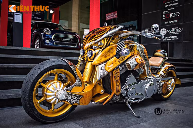  V-Rex Tranvertson lần đầu xuất hiện trước công chúng trong triển lãm xế độ tại Mỹ năm 2010. Nó được sản xuất trên cảm hứng về đàn khủng long bạo chúa trong siêu phầm điện ảnh King Kong đã từng khởi chiếu.