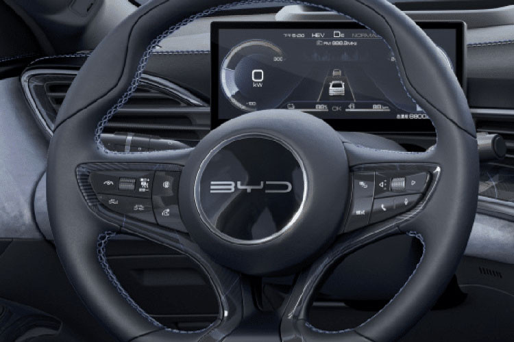 Tại thị trường Trung Quốc, BYD Seagull sẽ có ít nhất 3 phiên bản là tiêu chuẩn, Q và Mini. Xe sở hữu mô-tơ điện có công suất tối đa chỉ 55 kW (khoảng 75 mã lực).