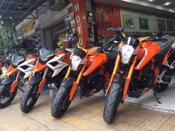 Cap phep nhap khau xe moto PKL qua mang tu 2/2016-Hinh-2