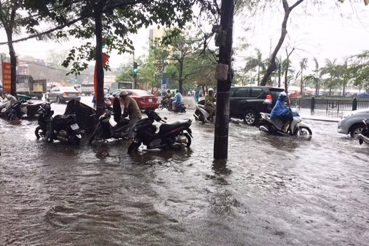 Trước tình ngập lụt trên diện rộng, Công ty thoát nước Hải Phòng đã huy động toàn bộ cán bộ công nhân viên khơi thông hàm ếch, nhấc tấm đan thoát nước. Đến 14h cùng ngày, nhiều tuyến đường nội thành Hải Phòng vẫn ngập nặng trên nhiều tuyến phố.