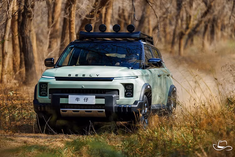 Geely hiện xếp thứ 210 về doanh số bán xe SUV tại Trung Quốc. Từ tháng 1 đến tháng 9/2024, doanh số bán hàng tích lũy của Geely Icon là 6.888 chiếc. Hiện thương hiệu này cũng đã có mặt tại Việt Nam, nhưng không được nhiều người tiêu dùng chú ý.