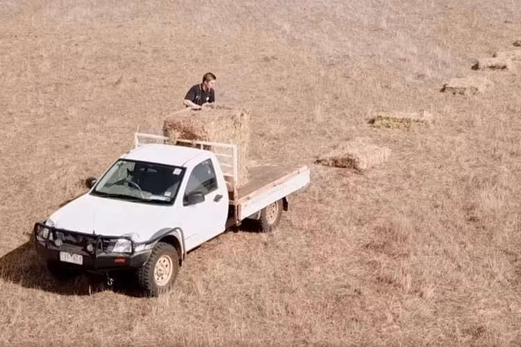 Co cho 1 tuoi nay biet lai xe oto tai giup chu chan cuu-Hinh-3