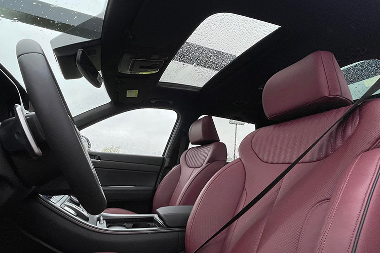 Xe còn được trang bị cửa sổ trời toàn cảnh, trần xe bọc da lộn. Màn hình thông tin của xe cũng có kích thước 12,3 inch hỗ trợ điều chỉnh, cài đặt các tham số vận hành... Như nhiều mẫu xe khác của Hyundai gần đây được trang bị chuyển số nút bấm “Shift by wire”, kết hợp lẫy chuyển số sau vô lăng. Palisade được trang bị màn hình hiển thị thông tin kính lái HUD có độ phân giải 480p, có diện tích hiển thị tương đương 10 inches.