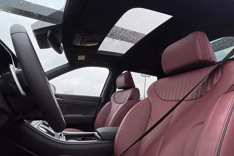 Xe còn được trang bị cửa sổ trời toàn cảnh, trần xe bọc da lộn. Màn hình thông tin của xe cũng có kích thước 12,3 inch hỗ trợ điều chỉnh, cài đặt các tham số vận hành... Như nhiều mẫu xe khác của Hyundai gần đây được trang bị chuyển số nút bấm “Shift by wire”, kết hợp lẫy chuyển số sau vô lăng. Palisade được trang bị màn hình hiển thị thông tin kính lái HUD có độ phân giải 480p, có diện tích hiển thị tương đương 10 inches.