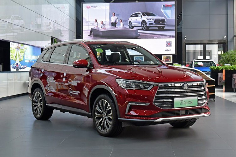 Phiên bản BYD Song Max mới xuất hiện tại Việt Nam vẫn chưa rõ thuộc đơn vị nào và phiên bản được bán ra sẽ có trang bị ra sao. Tuy nhiên giá xe BYD Song Max dự kiến sẽ nằm ở mức dưới 600 triệu đồng, nghĩa là rẻ hơn Mitsubishi Xpander nhưng đắt hơn so với Suzki Ertiga.