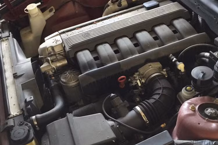 Theo bình luận của cư dân mạng, đây là những chiếc xe sang đã được công ty cho thuê ôtô đầu tiên tại Bulgaria mua về để phục vụ công việc kinh doanh. Tuy nhiên, công việc kinh doanh đổ bể khiến 11 chiếc BMW 5-Series bị bỏ rơi trong nhà kho.