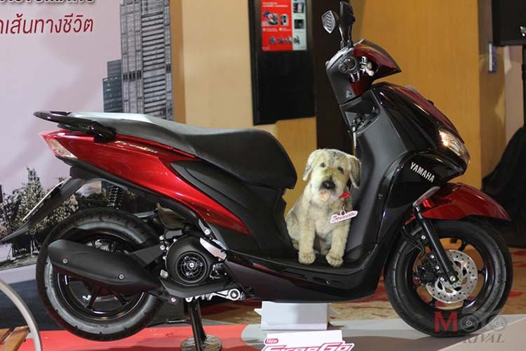 Ở phiên bản mới, mẫu xe ga Yamaha FreeGo 2020 sở hữu bộ màu khác bao gồm xanh xám và đỏ đen đầy hấp dẫn. Xe sở hữu ngoại hình khá tương đương với người anh em NVX. Tuy nhiên thiết kế của mẫu FreeGo mới có phần mềm mại, ít góc cạnh với thân xe khá bầu bĩnh và tròn trịa tương tự như mẫu Yamaha NM-X.