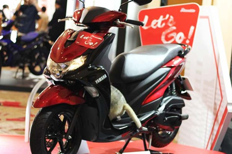 Mới đây, hãng xe máy Nhật Bản vừa cho ra mắt mẫu Yamaha FreeGo 2020 mới đi kèm bộ màu đầy cá tính dành cho thị trường Thái Lan. Chiếc xe tay ga mang khối động cơ 125cc này tập trung vào công năng như dễ sử dụng, tiết kiệm nhiên liệu và phù hợp cho mục đích sử dụng gia đình.