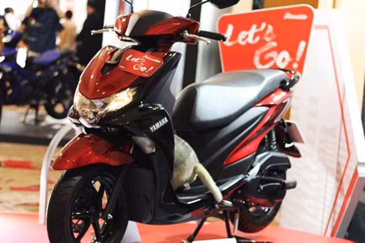 Mới đây, hãng xe máy Nhật Bản vừa cho ra mắt mẫu Yamaha FreeGo 2020 mới đi kèm bộ màu đầy cá tính dành cho thị trường Thái Lan. Chiếc xe tay ga mang khối động cơ 125cc này tập trung vào công năng như dễ sử dụng, tiết kiệm nhiên liệu và phù hợp cho mục đích sử dụng gia đình.