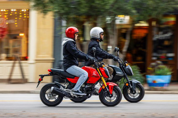 Mức giá xe Honda Grom 125 2025 tại thị trường châu Âu, cụ thể là Anh quốc bán ra là 3929 bảng Anh (tương đương gần 129 triệu đồng). Tịa thị trường Việt Nam, mẫu xe này còn được gọi với cái tên Honda MSX 125 và hiện vẫn chưa có phiên bản nâng cấp mới. 