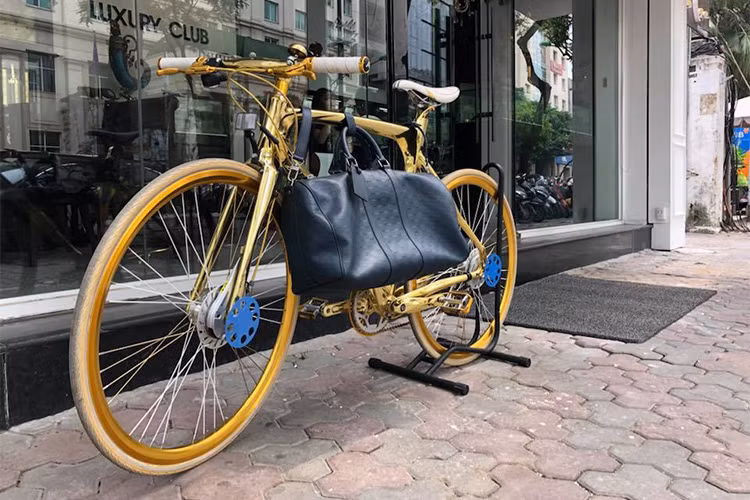 Chủ nhân của chiếc xe này không tiết lộ giá. Tuy nhiên, chiếc xe đạp AVENUE mạ vàng tại Hà Nội này đã trở nên nổi tiếng do có 1 vị khách chấp nhận trả 1 tỷ đồng, nhưng anh vẫn quyết định không bán. Xe vẫn được trưng bày tại showroom và thỉnh thoảng anh mang xe ra phố dạo vài vòng.