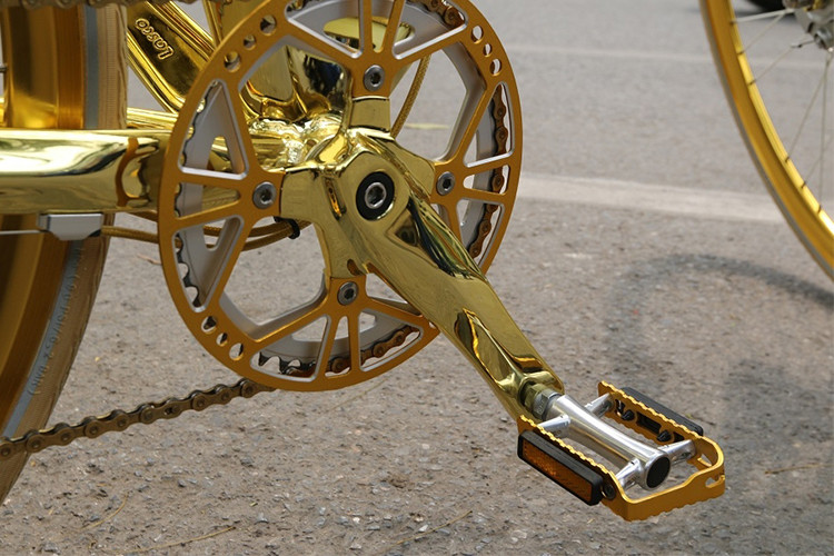 Là phiên bản kỉ niệm 15 năm thành lập hãng xe đạp AVENUE, xe có kiểu dáng thể thao, khung xe được làm bằng nhôm mạ vàng cao cấp và gia công bằng tay 100% nên không chiếc nào giống chiếc nào hoàn toàn.