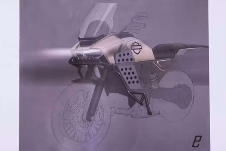 Đây là chiếc xe môtô Harley-Davidson Adventure đầu tiên sử dụng cỗ máy V-twin nổi tiếng của hãng kể từ khi chiếc Buell Ulysses ra đời.