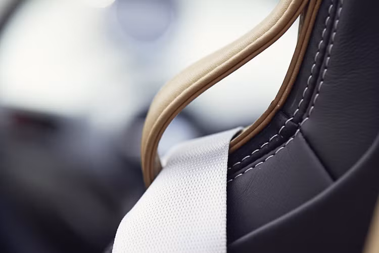 Các đường chỉ khâu màu trắng nổi bật trên da đi kèm dây đai an toàn màu trắng.