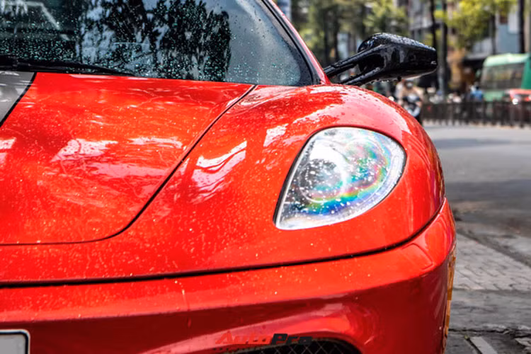 Hiện số lượng dòng xe Ferrari F430 tại Việt Nam có khoảng 8 chiếc với 3 phiên bản là Coupe (3 chiếc), Spider (3 chiếc) và 2 chiếc xe hiệu năng cao F430 Scuderia, ông Vũ được cho sở hữu gần hết các xe F430, trừ 1 chiếc F430 Coupe đang còn trong garage của 1 đại gia TP.HCM.