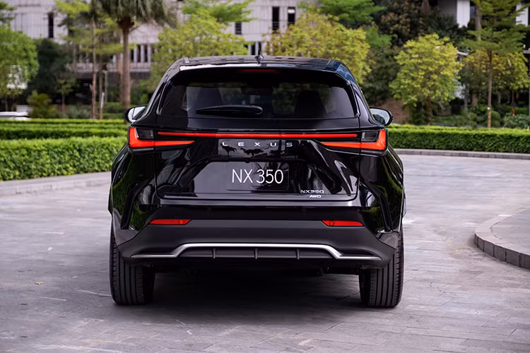 Thiết kế bên hông là sự kết hợp hài hòa giữa các đường cắt sắc nét và bề mặt cong kích thước lớn, tạo nên hình ảnh táo bạo, năng động và nhanh nhẹn. Đèn pha LED đen tuyền làm nổi bật dải đèn hoạt động ban ngày hình con suốt. Phần đuôi xe gây ấn tượng bởi thiết kế hoàn toàn mới với điểm nhận diện đặc trưng là dòng chữ "LEXUS" ở dải đèn LED nối liền cụm đèn hậu tạo hình chữ "L" ở hai bên.