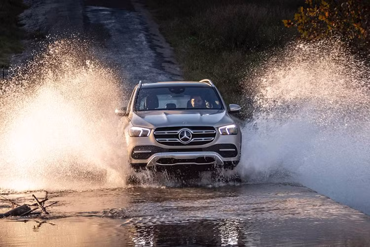 Giá Mercedes-Benz GLE 300d là 65.807 Euro (tương đương 1,74 tỷ đồng) ở Đức, ở Anh giá của 300d là 55.685 bảng Anh (khoảng 1,636 tỷ đồng ). Trong khi đó, 400d lần lượt có giá là 76.100 Euro (tương đương 2,01 tỷ đồng) ở Đức và 64.230 bảng Anh (khoảng 1,887 tỷ đồng) ở Anh.