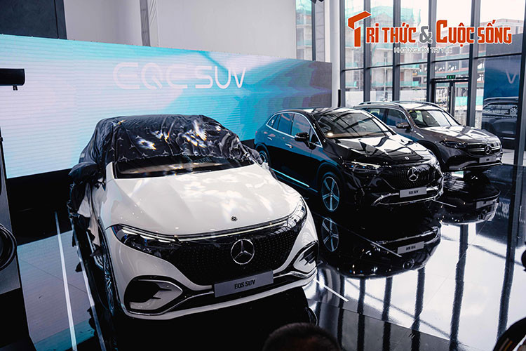 Tất cả các thương hiệu thuộc hãng xe Đức đều sẽ xuất hiện tại triển lãm, bao gồm các mẫu xe xa xỉ như Mercedes-Maybach, xe hiệu năng cao Mercedes-AMG và dàn xe biểu tượng Mercedes-Benz.