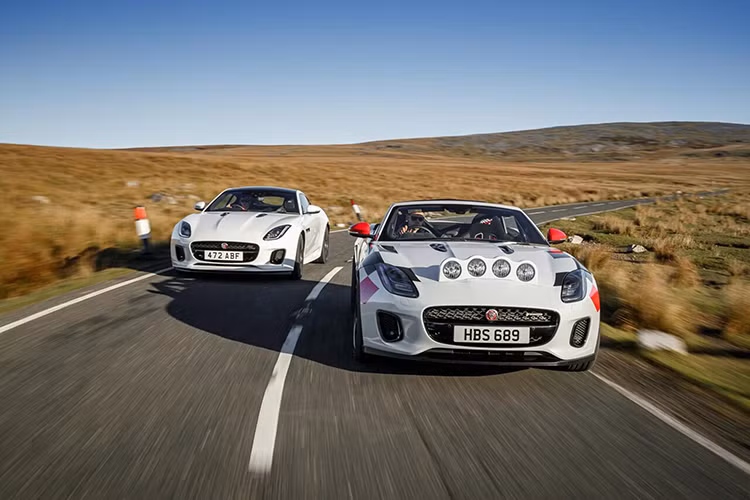 Cả hai phiên bản Jaguar F-TYPE mui trần phong cách xe đua việt dã đều được trang bị khối động cơ xăng Ingenium 4 xy-lanh thẳng hàng dung tích 2.0 lít tăng áp của Jaguar cho công suất tối đa 295 mã lực. Với những cải tiến được giám sát khắt khe bởi bộ phận Thiết kế và Kỹ thuật Jaguar.