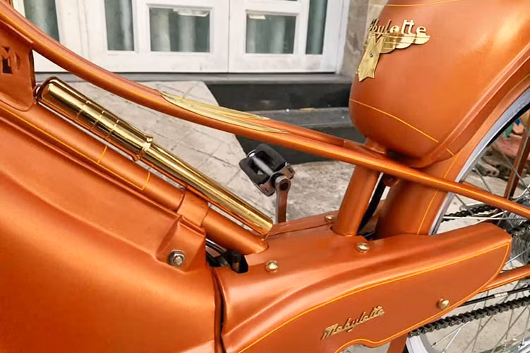 Năm 1981, hãng xe máy Motobecane chính thức phá sản, kéo theo sự "khai tử" những chiếc Mobylette. Tuy nhiên, "cái chết" của Mobylette đã bắt đầu xảy ra từ khoảng 2 chục năm trước đó, trước sự xuất hiện của những chiếc xe underbone giá rẻ dạng Honda Cub tới từ Nhật.