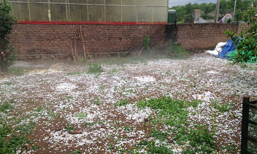 Mưa đá trắng xoá tại Mộc Châu, Sơn La 2 ngày qua.