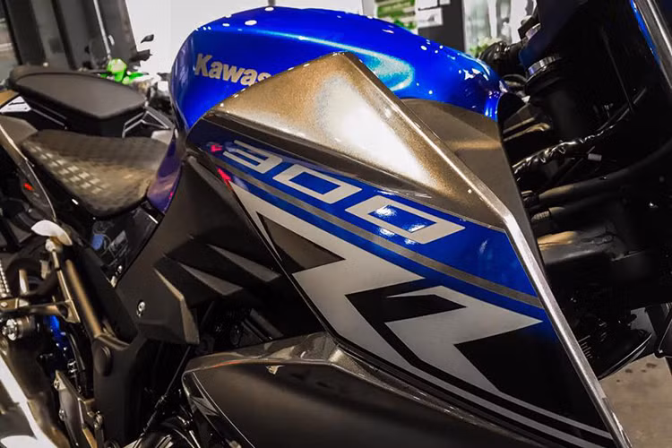 Xe sở hữu chiều cao yên chỉ ở mức 785 mm nên rất phù hợp với vóc dáng người tiêu dùng Việt Nam, xe cũng được trang bị bình xăng với dung tích khá lớn lên đến 17 lít như Ninja 300, trong lượng khô là 170 kg (có ABS) và cũng có thiết kế phần đuôi sau tương đối giống mẫu xe thể thao này. 