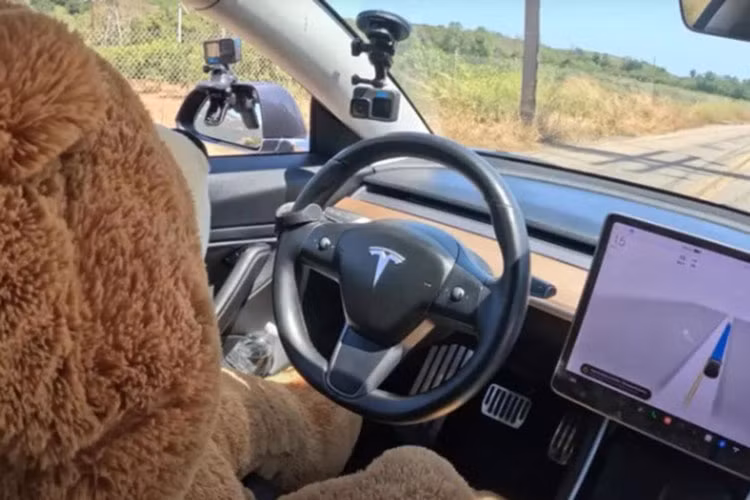 He thong giam sat nguoi lai cua Tesla bi danh lua boi thu bong