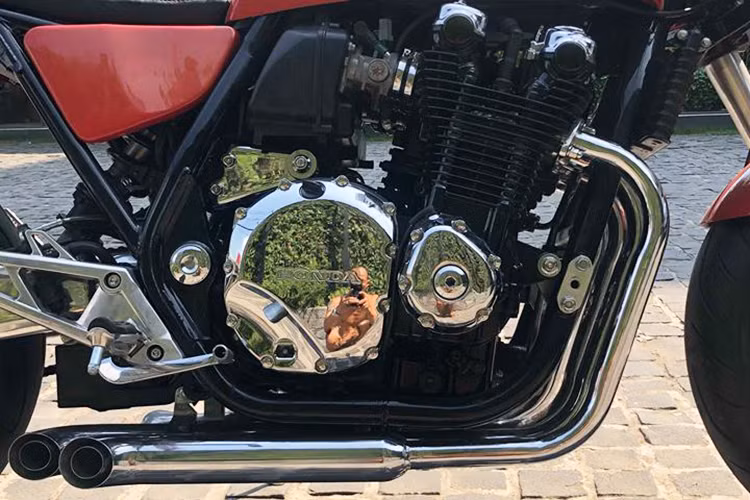 Honda CB1100 được trang bị khối động cơ DOHC 4 xy-lanh thẳng hàng, dung tích 1.140 cc, sản sinh công suất 88 mã lực tại 7.500 vòng/phút và mô-men xoắn cực đại 93 Nm tại 5.000 vòng/phút. Xe sở hữu hệ thống khung gầm dạng đôi làm bằng thép ống và công nghệ ly hợp đa phiến dạng ướt.