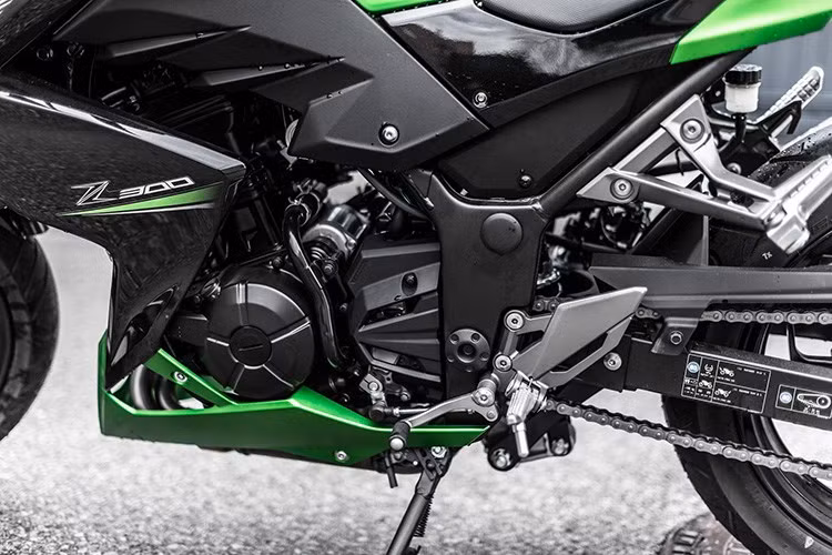 Sức mạnh của Kawasaki Z300 ABS đến từ khối động cơ 4 thì Twin Parallel, làm mát bằng dung dịch với dung tích xi-lanh 296 cc. Công suất tối đa 39 mã lực tại 11.000 vòng/phút và mô-men xoắn tối đa 27 Nm tại 10.000 vòng/phút. Tỉ số nén là 10,6:1, hộp số 6 cấp.