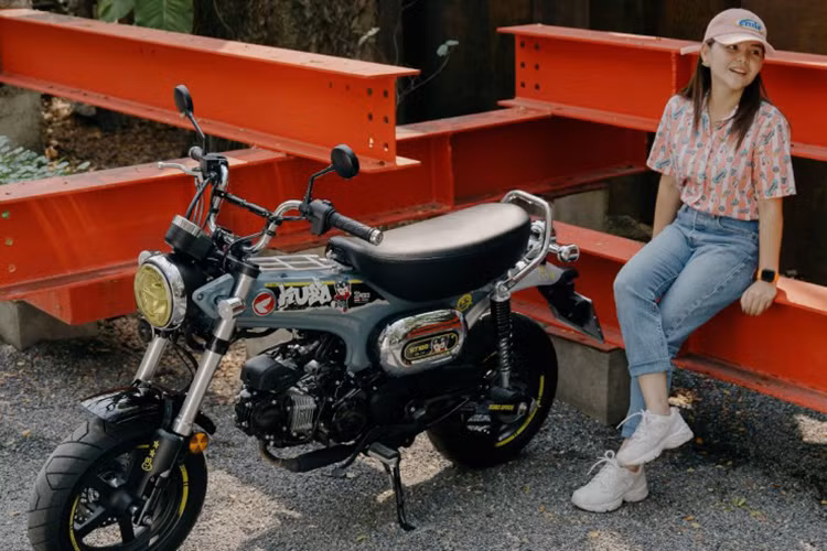 Đây là một phiên bản kết hợp hoàn hảo giữa đồ chơi thủ công và nghệ thuật của KUBO, với những đồ họa phát sáng ấn tượng thể hiện bản sắc đặc trưng của DAX và KUBO.