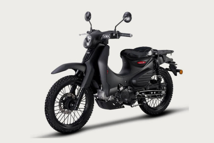  Kamax Cub-X 2025 mới là biến thể của Kamax Super Pro 125 một chiếc xe số gia đình cỡ nhỏ, đã bắt đầu được bán tại Malaysia từ tháng 1/2025 vừa qua. Xe có sự khác biệt so với Super Pro 125 ở kiểu dáng và tính năng, với thiết kế hướng đến các hoạt động ngoài trời và hình dáng gần giống với các dòng xe máy off-road.