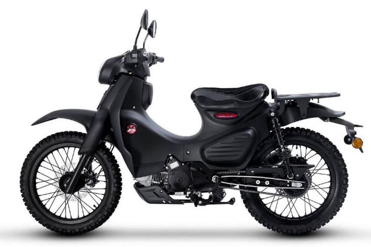 Mẫu xe máy Kamax Cub-X 125 được thiết kế theo phong cách xe địa hình cỡ nhỏ (gần như tương đồng với Honda CT125 và Yamaha PG-1), kết hợp giữa nét cổ điển và khả năng vận hành mạnh mẽ trên nhiều loại địa hình.