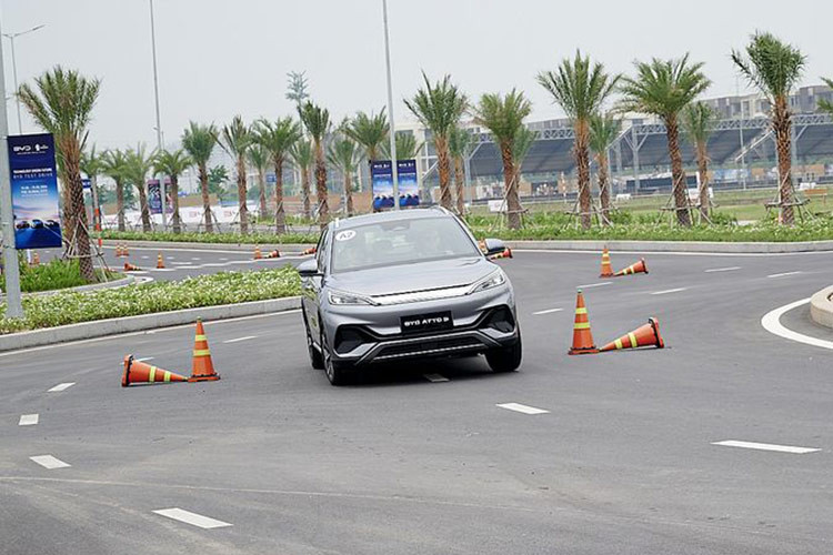 Theo số liệu của Công ty Nghiên cứu thị trường Statista (Đức), BYD là thương hiệu dẫn đầu thế giới về số lượng xe năng lượng mới bán ra trên toàn cầu trong năm 2023 với hơn 3 triệu xe, tăng trưởng đến 61,9% so với năm 2022. Thành công của BYD đến từ thế mạnh nắm giữ công nghệ pin và đội ngũ kỹ sư nghiên cứu, thiết kế lên đến 102.800 người.