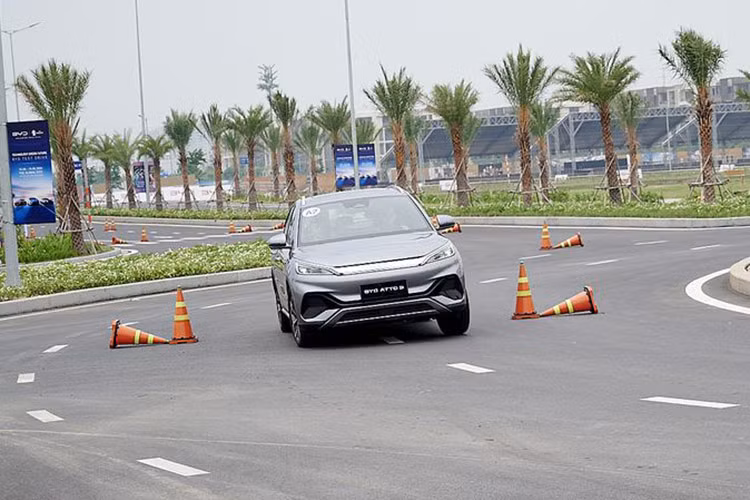 Theo số liệu của Công ty Nghiên cứu thị trường Statista (Đức), BYD là thương hiệu dẫn đầu thế giới về số lượng xe năng lượng mới bán ra trên toàn cầu trong năm 2023 với hơn 3 triệu xe, tăng trưởng đến 61,9% so với năm 2022. Thành công của BYD đến từ thế mạnh nắm giữ công nghệ pin và đội ngũ kỹ sư nghiên cứu, thiết kế lên đến 102.800 người.