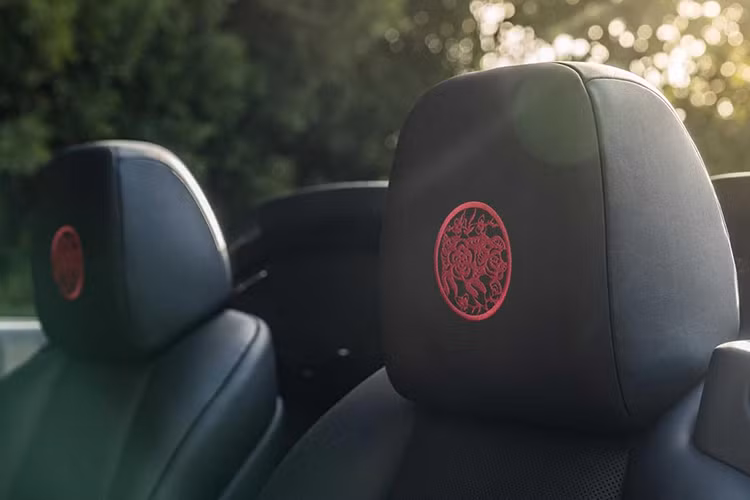 Họa tiết này còn được thêu trên tựa đầu ghế trong xe.