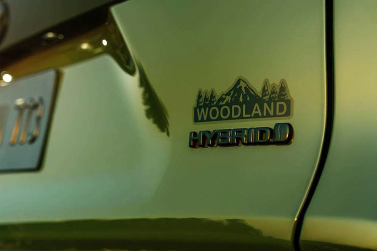 Phiên bản đắt nhất có giá 39.780 USD (khoảng 943 triệu đồng) với phiên bản hybrid e-AWD Limited (tăng 1.250 USD so với phiên bản 2023). Trong khi đó, phiên bản Woodland Edition e-AWD vẫn sẽ xuất hiện trong dòng sản phẩm 2024. Với mức giá từ 34.695 USD tăng 1.670 USD (khoảng 822 triệu đồng, tăng hơn 39 triệu đồng.