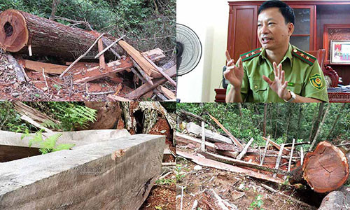 Kiem lam Nghe An chua nghe bao cao rung sa mu bi chat ha