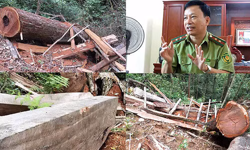 Kiem lam Nghe An chua nghe bao cao rung sa mu bi chat ha