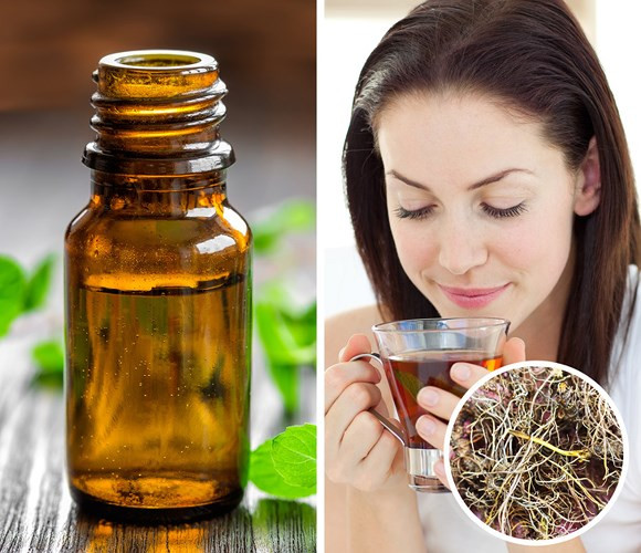 Dầu bạc hà và mao lương hoa vàng: Đôi khi chứng ngáy khi ngủ xảy ra do một người bị nghẹt mũi. Tinh dầu bạc hà có thể giúp làm giảm tắc nghẽn các xoang và giảm đau họng. Một số nghiên cứu đã chỉ ra rằng các hợp chất được tìm thấy trong dầu bạc hà có rất nhiều đặc tính kháng khuẩn, kháng virus và chống oxy hóa có nghĩa là nó cũng có thể chống nhiễm trùng đường hô hấp.