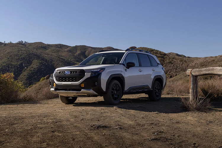 Giá bán chính thức của Forester Wilderness 2025 vẫn chưa được công bố, nhưng Subaru xác nhận mẫu xe này sẽ có mặt tại các đại lý vào mùa thu năm nay.